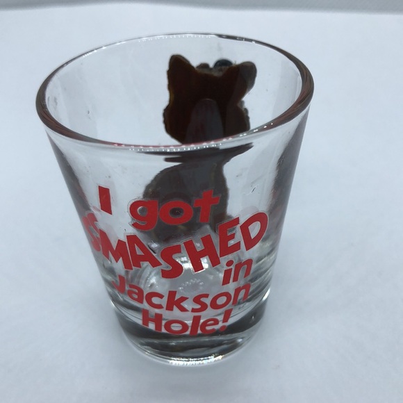 VTG Shot Glass I got smashed in Jackson Hole! - Picture 2 of 2